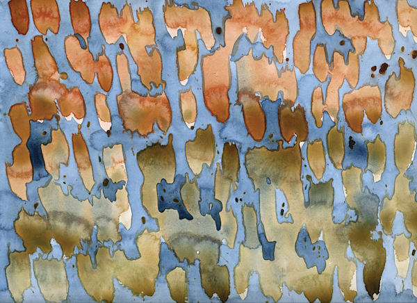 Judy Walker Originals